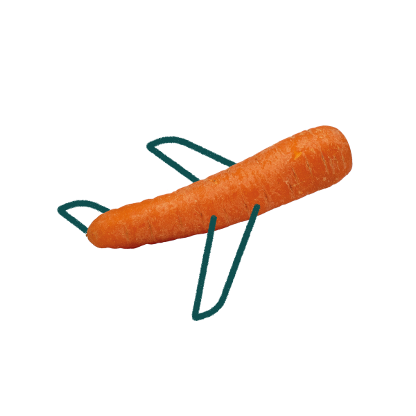 carrot-plane